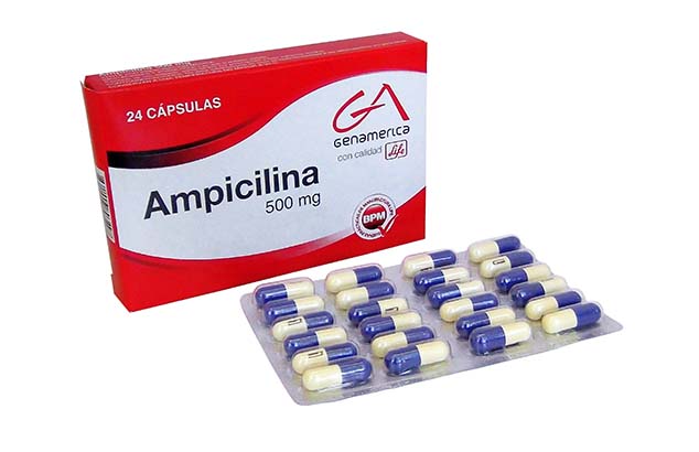 Ampicilina GA