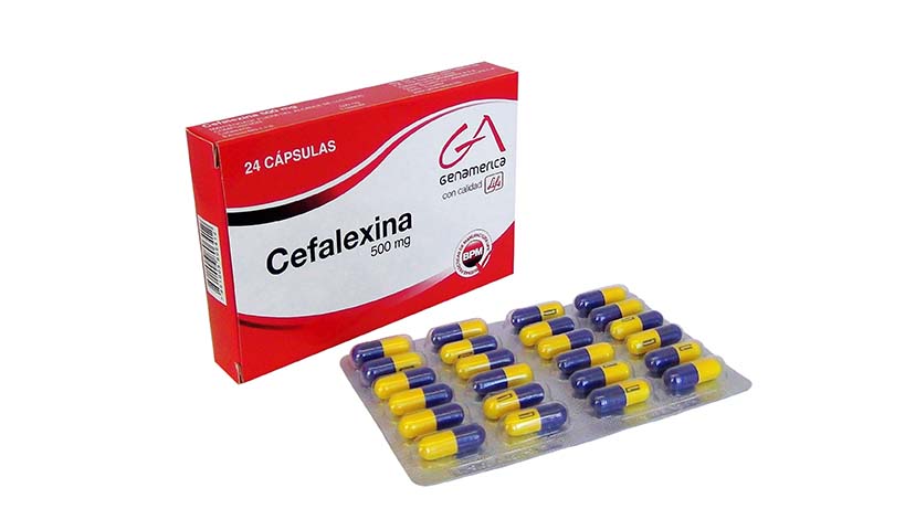 Cefalexina GA