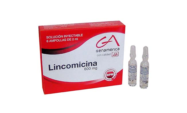 Lincomicina GA