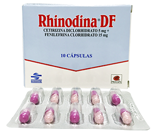 Rhinodina DF